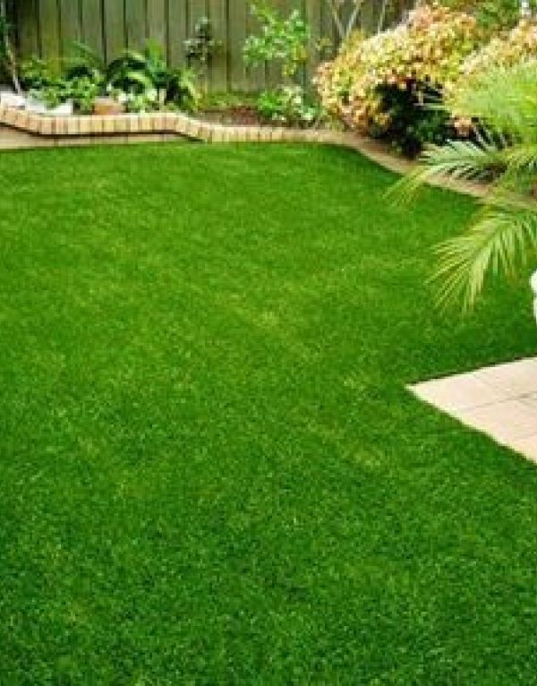 مميزات ملاعب النجيل الصناعى