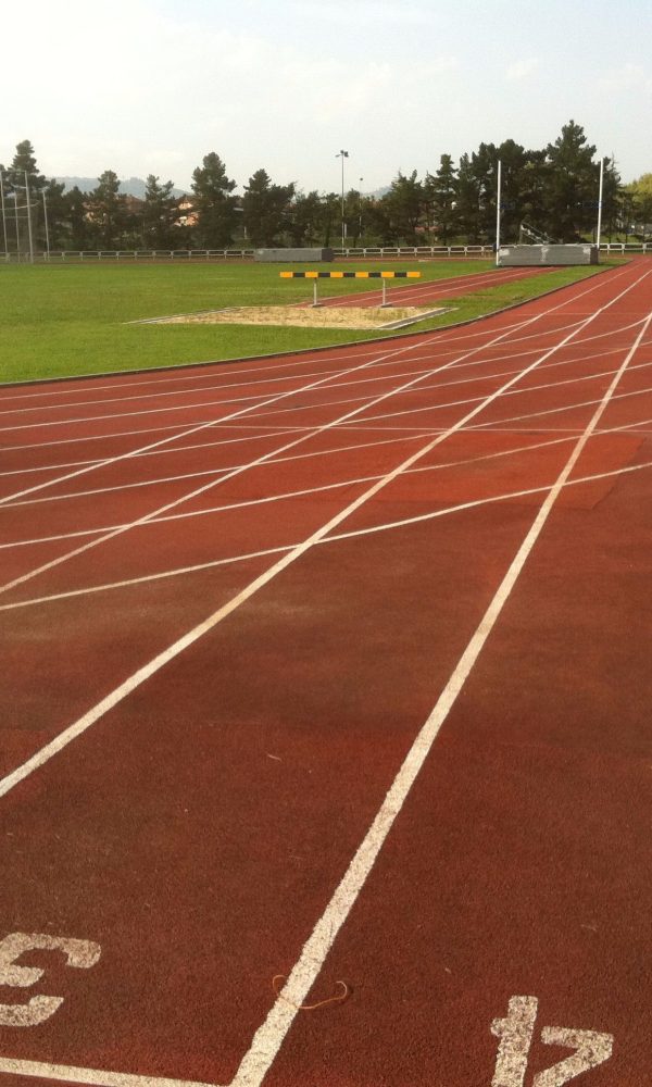 شركات عمل ملاعب ترتان