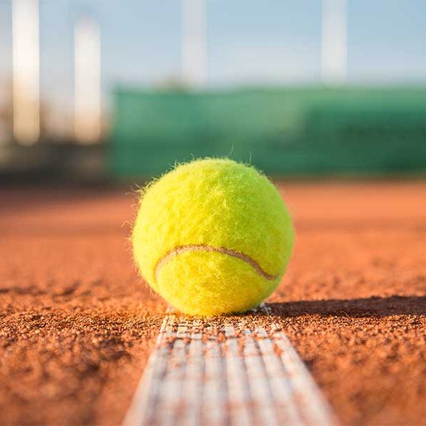 شركة ملاعب حمره &